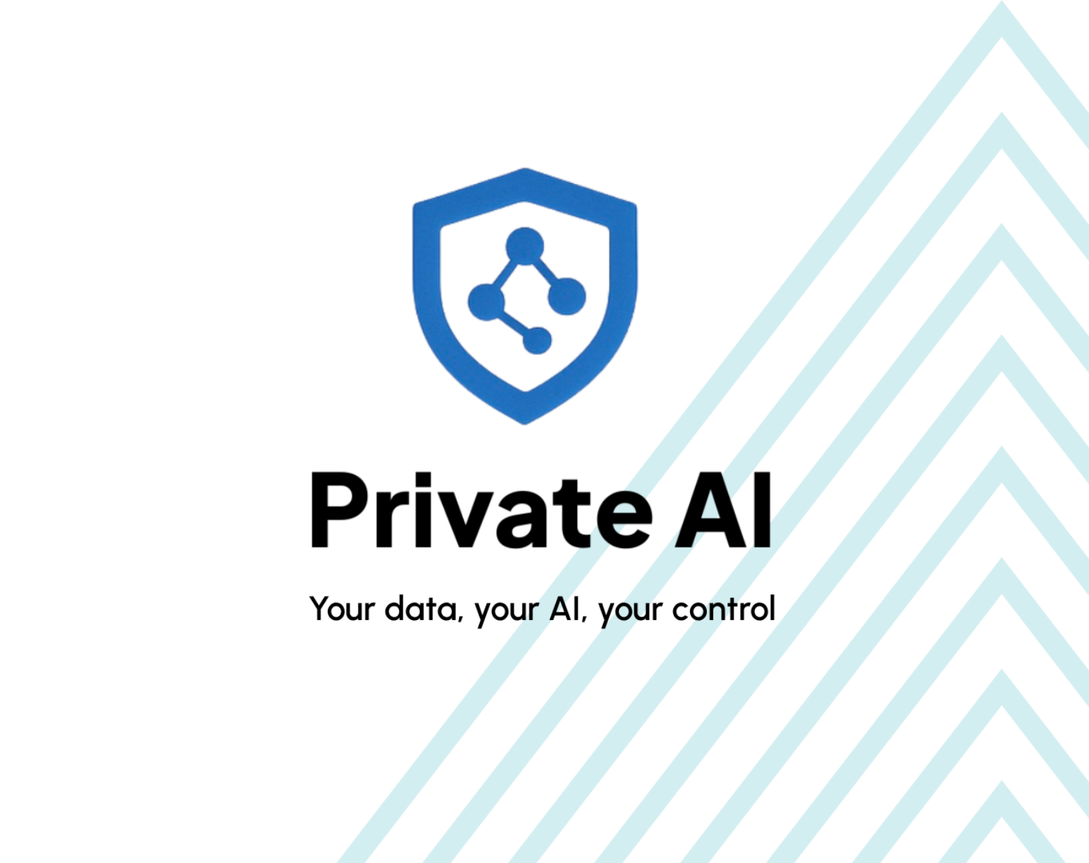 Private AI